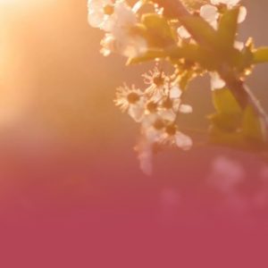 Skupinska aktivacija 21. 3. 2026